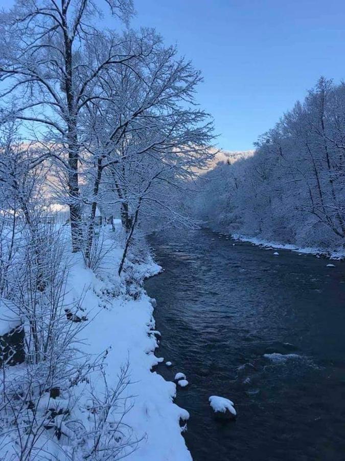 Сонячна Соната Ξενοδοχείο Polyana  Εξωτερικό φωτογραφία